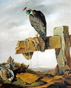 Sokół wędrowny w kapturze z kulikiem na ziemi autorstwa William Brodrick