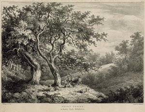 Cierniste drzewa w Bushy Park, Middlesex autorstwa William Burges
