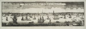 Perspektywa południowa miasta Nowy Jork w Ameryce Północnej, 1761 autorstwa William Burgis