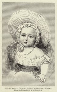 H R H Książę Walii, w wieku pięciu miesięcy (ryba) autorstwa William Charles (after) Ross