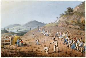 Rozbijanie ziemi, z "Dziesięć widoków na wyspie Antigua