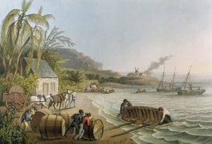 Carting and Putting Sugar Hogsheads on Board", płyta X z "Ten Views in the Island of Antigua", wydana przez W. Clark, Londyn, 1823 (akwatinta barwna)