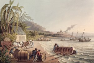 Ładowanie beczek rumu i cukru, Antigua