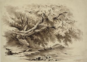 Krajobraz z drzewami zwisającymi nad jeziorem autorstwa William Collingwood Smith
