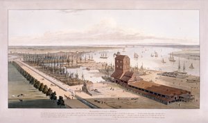Brunswick Dock i East India Dock, Topola, Londyn, 1803 autorstwa William Daniell