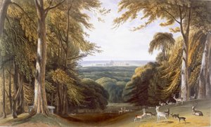 Glen w Windsor Park w pobliżu Bishops Gate, c1827-30. autorstwa William Daniell