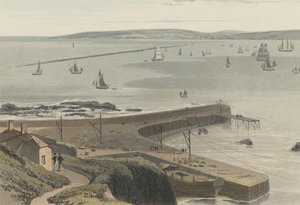 Nabrzeże przy Straddon Point niedaleko Plymouth autorstwa William Daniell