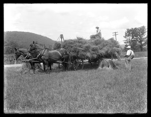 Dwóch mężczyzn ładujących snopy pszenicy na wóz konny, prawdopodobnie farma McCready, hrabstwo Crawford, Pensylwania, ok. 1913 autorstwa William Davis Hassler