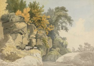 Zalesione skały nad strumieniem (Derbyshire?)