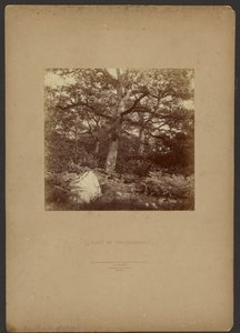 Las Fontainebleau autorstwa William Drooke Harrison