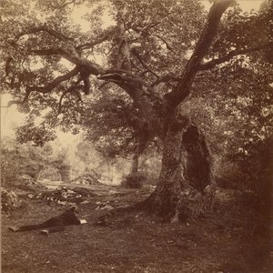 Las Fontainebleau autorstwa William Drooke Harrison