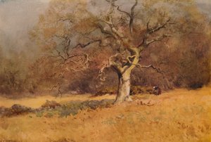 Las zimowy, c1916, 1938 autorstwa William Eyre Walker
