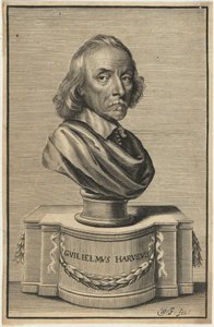 William Harvey, M.D. autorstwa William Faithorne
