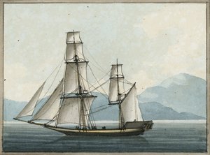 Bombaj grab autorstwa William Ffarington