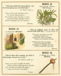 Strona z Księgi Jubileuszowej Godła Biblijnego (kolorowa litografia) autorstwa William Foster