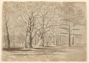 Kolegium Woods