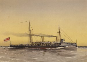 HMS Speedwell, kanonierka torpedowa