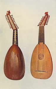 Instrumenty muzyczne: Lutnia (kolorowa litografia)