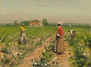 Zbieranie Bawełny, ok. 1890. autorstwa William Gilbert Gaul