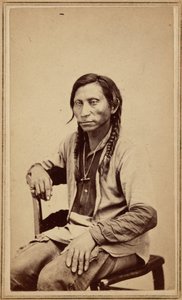 Szary wilk, lata sześćdziesiąte XIX wieku (zdjęcie) autorstwa William Gunnison Chamberlain