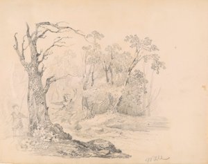 Scena ze Scotta autorstwa William Guy Wall