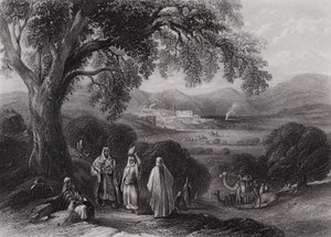 Vale of Nazaret (rycina) autorstwa William H. Bartlett