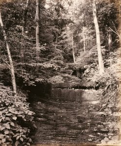 Jezioro Owasco, Cascade Glen, dla Lehigh Valley Railroad autorstwa William H. Rau