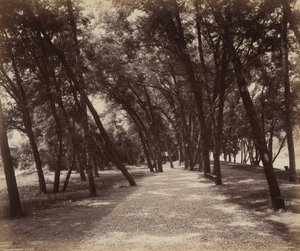 Teren piknikowy autorstwa William H. Rau