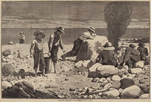 Szkice nad morzem - pieczenie małży autorstwa William H. Redding after Winslow Homer