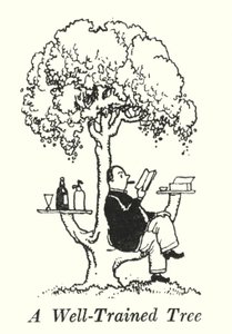 Dobrze wyszkolone drzewo (lito) autorstwa William Heath Robinson