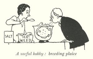 Przydatne hobby, hodowla gładzicy (lito) autorstwa William Heath Robinson