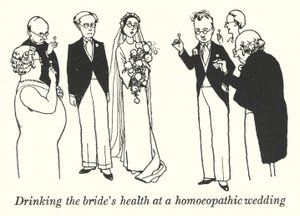 Picie zdrowia panny młodej na weselu homeopatycznym (lito) autorstwa William Heath Robinson