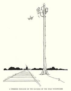 Ilustracja do Ribaldry na kolei autorstwa W. Heatha Robinsona (lito) autorstwa William Heath Robinson