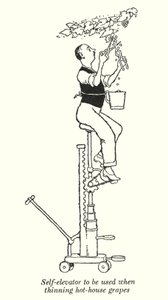 Samopodnośnik używany do przerzedzania winogron cieplarnianych (litowo) autorstwa William Heath Robinson
