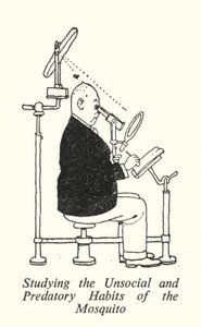Badanie niespołecznych i drapieżnych nawyków komara (litografia) autorstwa William Heath Robinson