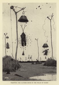 Odławianie moli odzieżowych w dzikich ostępach Idaho autorstwa William Heath Robinson