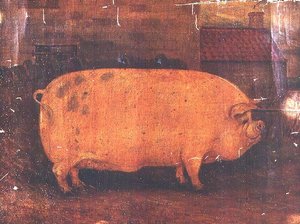 Nagroda Świnia Jumbo II autorstwa William Henderson