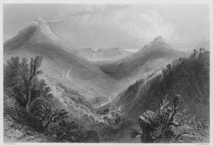 Glen of the Downs (grawerowanie) autorstwa William Henry (after) Bartlett