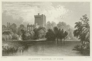 Zamek Blarney w hrabstwie Cork autorstwa William Henry Bartlett