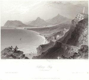 Killiney Bay w hrabstwie Wicklow autorstwa William Henry Bartlett