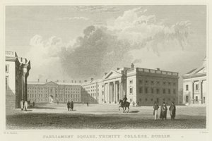 Plac Parlamentu w Dublinie autorstwa William Henry Bartlett
