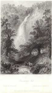 Powerscourt Fall na rzece Dargle autorstwa William Henry Bartlett