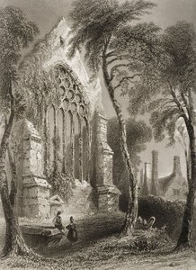 Opactwo Youghal, hrabstwo Cork, Irlandia, z „Scenery and Antiquities of Ireland” George