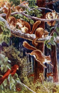 „Jak cudownie było patrzeć, jak się bawią!” (kolor lito) autorstwa William Henry Charles Groome