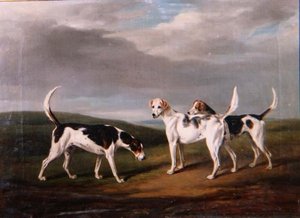 Foxhounds w krajobrazie autorstwa William Henry Davis