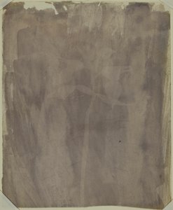 Okaz botaniczny autorstwa William Henry Fox Talbot