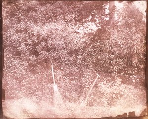Miotła i łopata, 1842 autorstwa William Henry Fox Talbot
