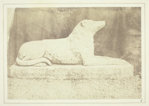 Podobizna ulubionego psa Sir W. Scotta, Maida, przy drzwiach holu w Abbotsford autorstwa William Henry Fox Talbot