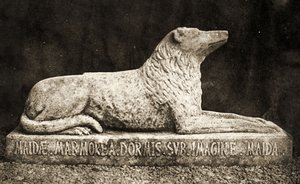 Statua Maidy, podobno ulubiony pies Sir Waltera Scotta. (zdjęcie w sepii) autorstwa William Henry Fox Talbot