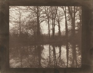 Drzewa i odbicia autorstwa William Henry Fox Talbot